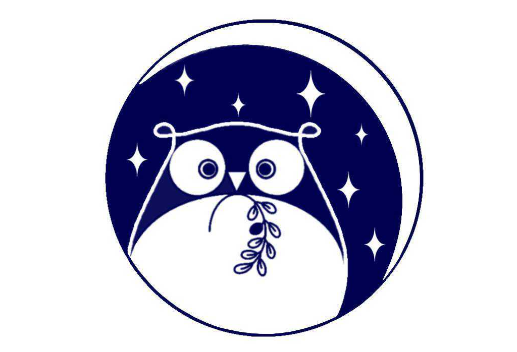 あなたの街の星空観望会を一緒に作りませんか 「若手とつくる全国星空観望会プロジェクト」を㈱ビクセンが共催 参加者募集中！